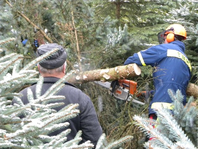 christbaumaufstellen 2017 17